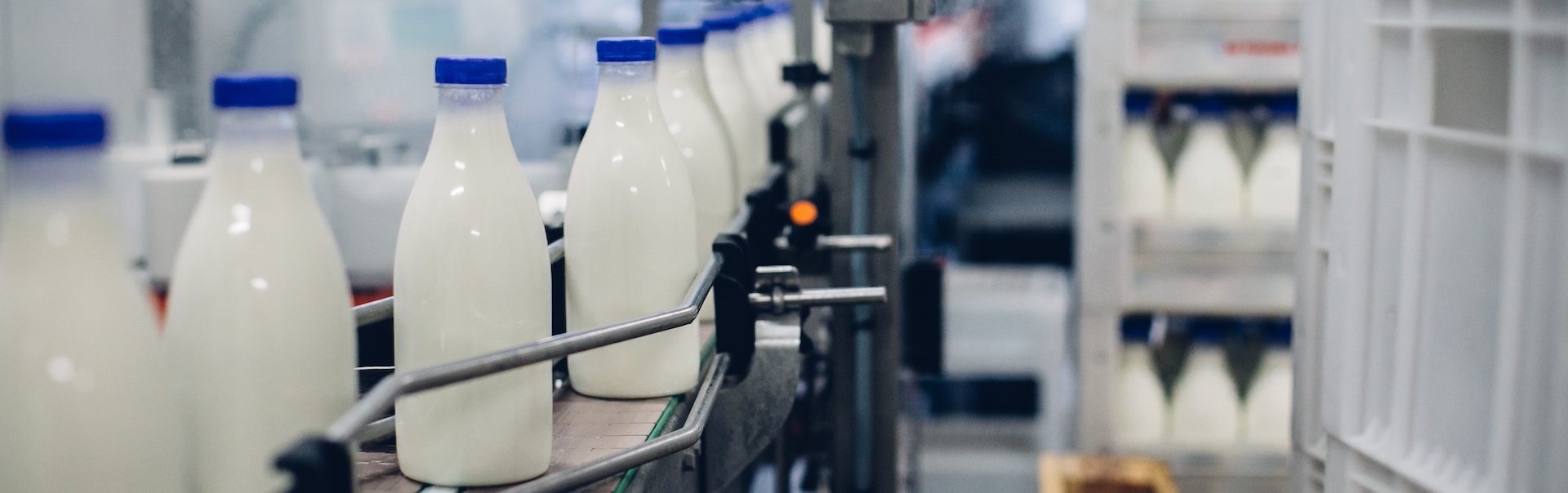 Dairy firm reduces sales losses, wastages and improves profitability through Lean Kaizen